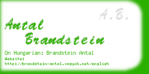 antal brandstein business card